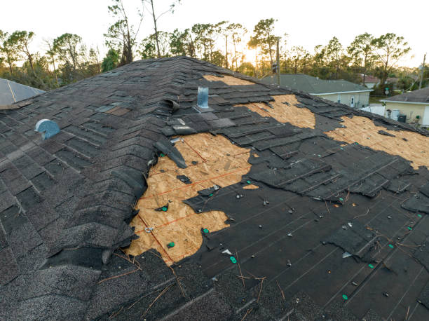 Steel Roofing in Arden Hills, MN