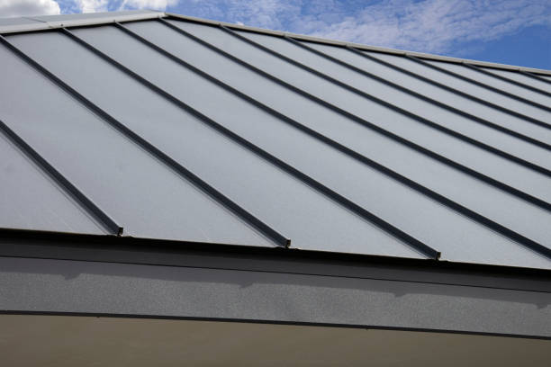 Roof Coating Services in Arden Hills, MN